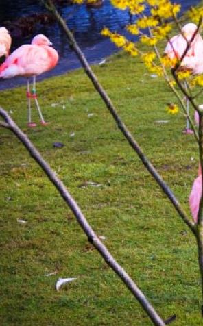 Przywitaj wiosnę w zoo