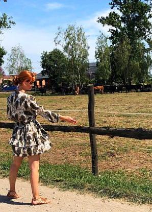 Skradzione bydło w miejscowości Bedoń Nowy w woj. łódzkim. Pokrzywdzony farmer prosi o pomoc ekipę Krzysztofa Rutkowskiego!