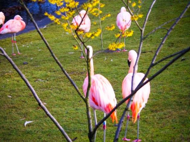 Przywitaj wiosnę w zoo